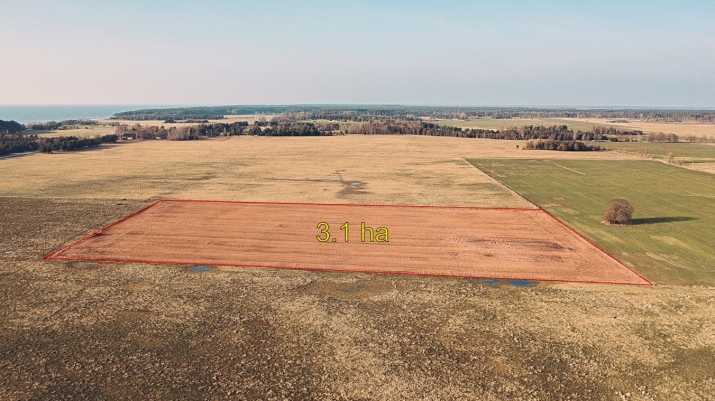 Sludinājumi. Pārdod lauksaimniecības zemi Ziemeļblāzmas, Užavas pagastā., Ventspils novadā.  Zemes vienības Cena: 36000 EUR Foto #3