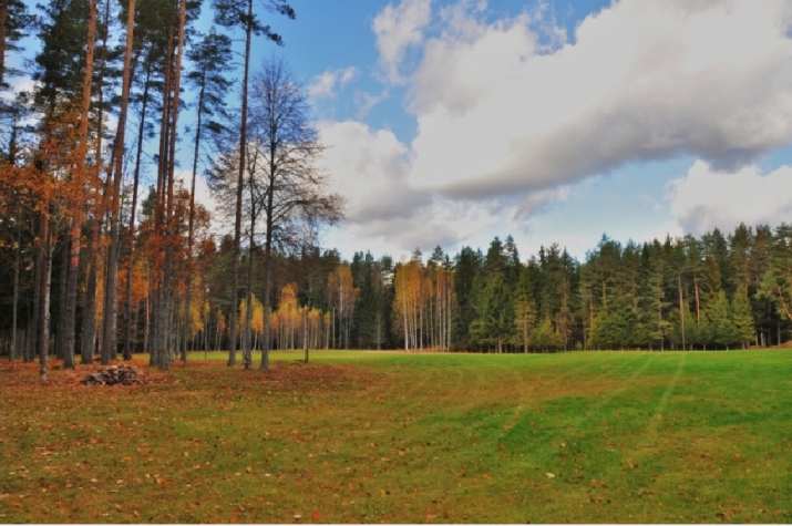 Sludinājumi. Viensēta tikai 25 km attālumā no Rīgas  unikāla iespēja meklētājiem, kas vēlas mieru, privātumu un Cena: 622000 EUR Foto #3