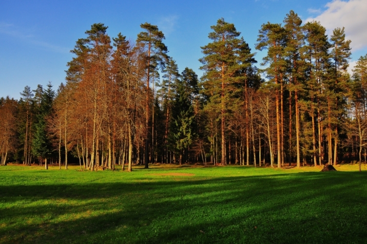 Sludinājumi. Viensēta tikai 25 km attālumā no Rīgas  unikāla iespēja meklētājiem, kas vēlas mieru, privātumu un Cena: 622000 EUR Foto #4