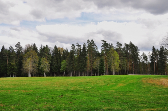 Sludinājumi. Viensēta tikai 25 km attālumā no Rīgas  unikāla iespēja meklētājiem, kas vēlas mieru, privātumu un Cena: 622000 EUR Foto #7
