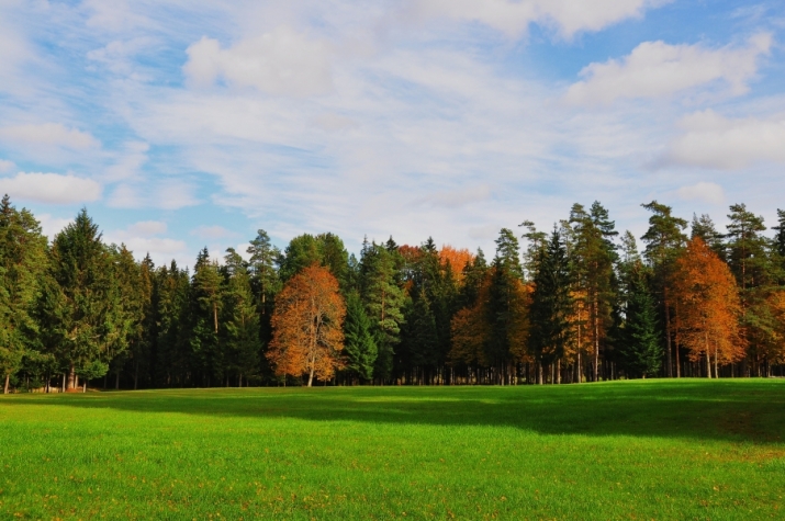 Sludinājumi. Viensēta tikai 25 km attālumā no Rīgas  unikāla iespēja meklētājiem, kas vēlas mieru, privātumu un Cena: 622000 EUR Foto #8