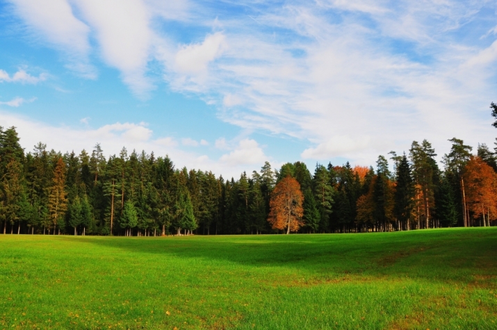 Sludinājumi. Viensēta tikai 25 km attālumā no Rīgas  unikāla iespēja meklētājiem, kas vēlas mieru, privātumu un Cena: 622000 EUR Foto #9