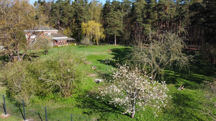 Sludinājumi. Kluss un plašs zemesgabals meža ieskautā mierā  Valteros!  Tikai 10 minūšu pastaigas attālumā no Cena: 77000 EUR Foto #9