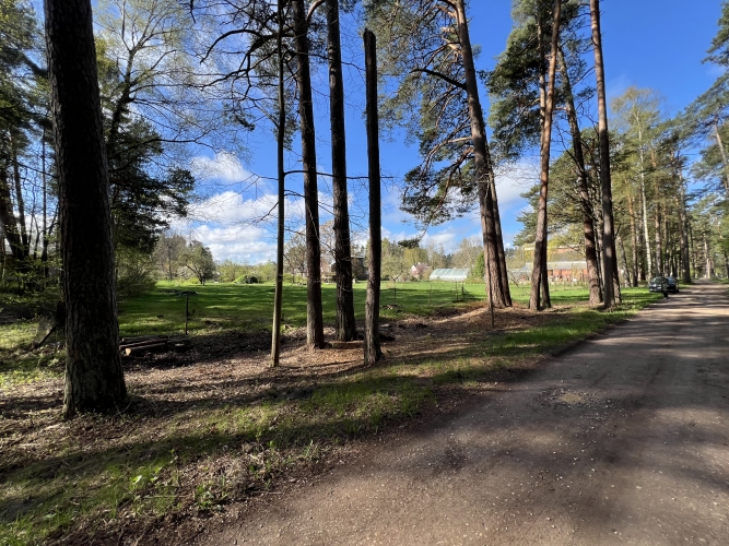 Sludinājumi. Kluss un plašs zemesgabals meža ieskautā mierā  Valteros!  Tikai 10 minūšu pastaigas attālumā no Cena: 77000 EUR Foto #1