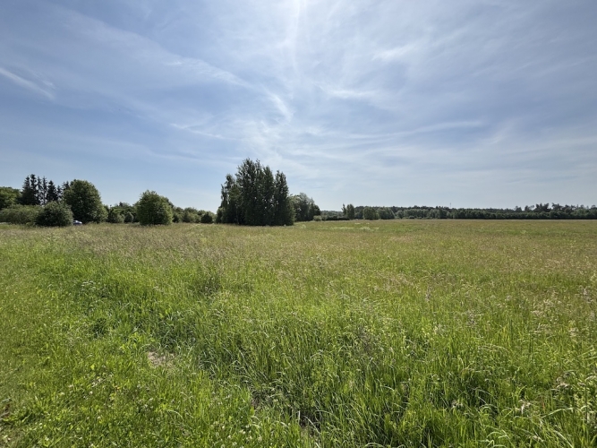 Sludinājumi. Pārdod 1,92 ha lielu zemes gabalu Ādažos.  Ir izstrādāts detālplānojums, kas paredz sadali 7 Cena: 250000 EUR Foto #1