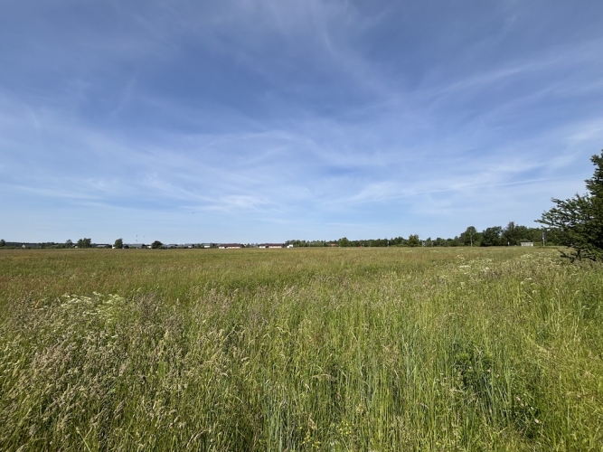 Sludinājumi. Pārdod 1,92 ha lielu zemes gabalu Ādažos.  Ir izstrādāts detālplānojums, kas paredz sadali 7 Cena: 250000 EUR Foto #7