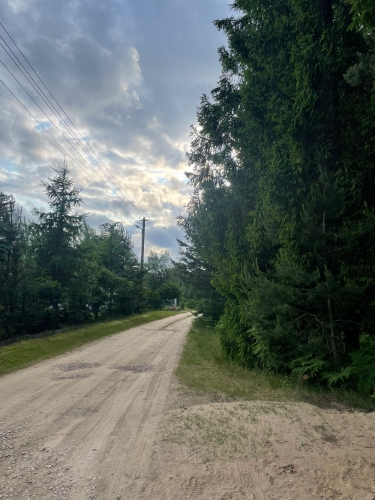 Sludinājumi. Tiek pārdoti 2 zemesgabali meža ielokā.  Nr 195, 678 m2 - 8300 EUR Nr 196, 721 m2 - 8800 EUR Cena: 8300 EUR Foto #6