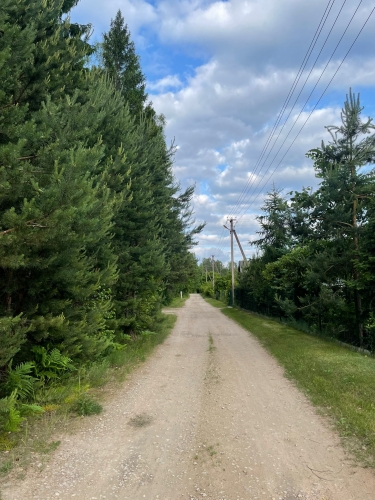 Sludinājumi. Tiek pārdoti 2 zemesgabali meža ielokā.  Nr 195, 678 m2 - 8300 EUR Nr 196, 721 m2 - 8800 EUR Cena: 8300 EUR Foto #1