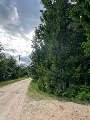 Sludinājumi. Tiek pārdoti 2 zemesgabali meža ielokā.  Nr 195, 678 m2 - 8300 EUR Nr 196, 721 m2 - 8800 EUR Cena: 8300 EUR Foto #8