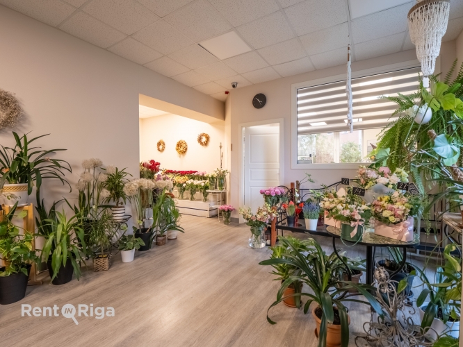 Sludinājumi. Tirdzniecības telpas jaunā ēkā.  Telpas sastāv no tirdzniecības zāles, kabineta, mazas noliktavas Cena: 84800 EUR Foto #4