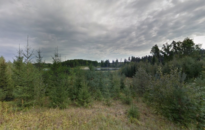 Sludinājumi. Unikāls, sakopts zemes gabals ar smilšu pludmali ezera krastā  9,8 ha  Piedāvājam lielisku iespēju Cena: 205000 EUR Foto #5