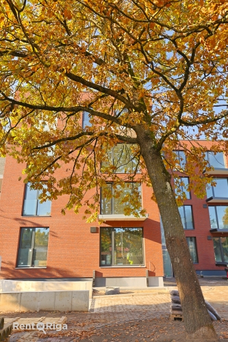 Sludinājumi. Jaunajā projektā Zelta Ozols ir pieejami 26 mūsdienīgi dzīvokļi, kuri ir piemēroti cilvēkiem, kas Cena: 264320 EUR Foto #2