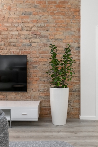 Sludinājumi. Klusajā centrā tiek izīrēts 2-istabu dzīvoklis ar izsmalcinātu interjera dizainu, dzīvoklis Cena: 1400 EUR/mēn Foto #4