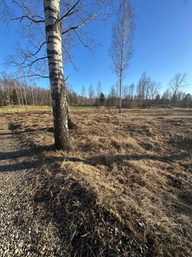Sludinājumi. Pārdod zemi Klapkalnciemā pie jūras.  Piedāvājumā perspektīvs zemes gabals Klapkalnciems  lieliska Cena: 37000 EUR Foto #6
