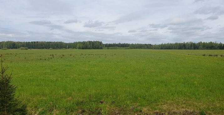 Sludinājumi. Lauksaimniecības zeme.  Kvalitātes novērtējums ballēs: 45  Vitauti, Rendas pagasts, Kuldīgas Cena: 166100 EUR Foto #1