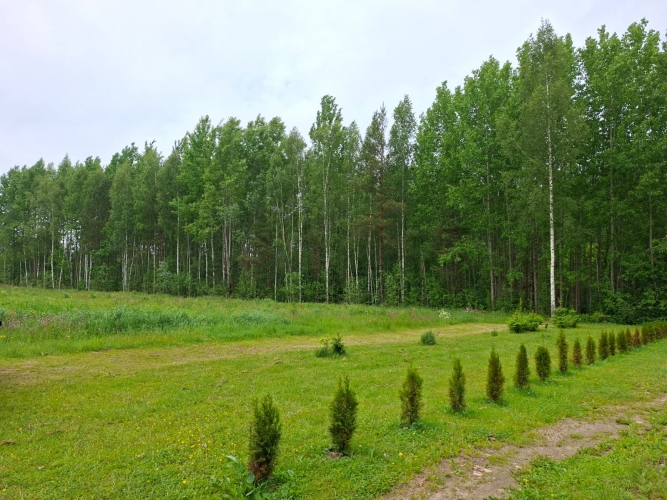 Sludinājumi. Perspektīvs apbūves zemesgabals Ādažos, pie Gaujas.  Piedāvājumā zemesgabals ar kopējo platību 3 Cena: 354600 EUR Foto #4