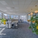 Office for rent, Muitas street - Image 2