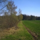 Pārdod zemi, Jaunzemnieki - Attēls 2