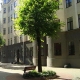 Сдают квартиру, улица Pulkveža Brieža 7 - Изображение 2