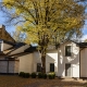 House for rent, Tirgus street - Image 2