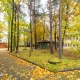 Pārdod zemi, Kapseļu iela - Attēls 2
