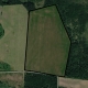 Pārdod zemi, Ozoli - Attēls 2